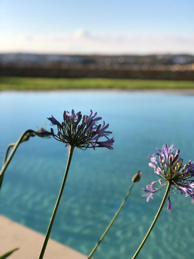 Sunset Oasis Villa L-Imgarr Exteriör bild